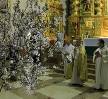 página Entrà de la Flor