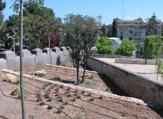 Imágen de Parc Municipal l’Hort de Trénor