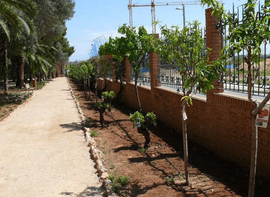 Imágen de Parc Municipal l’Hort de Trénor