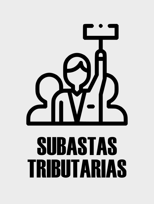 Subastas tributarias Ayuntamiento de Torrent