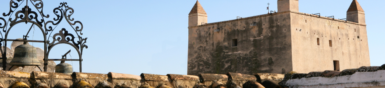 TURISMO BANNER Torre