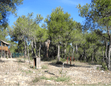 página Centro Ambiental El Vedat